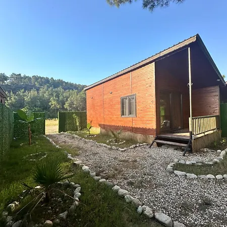 Holiday home Blackstone *