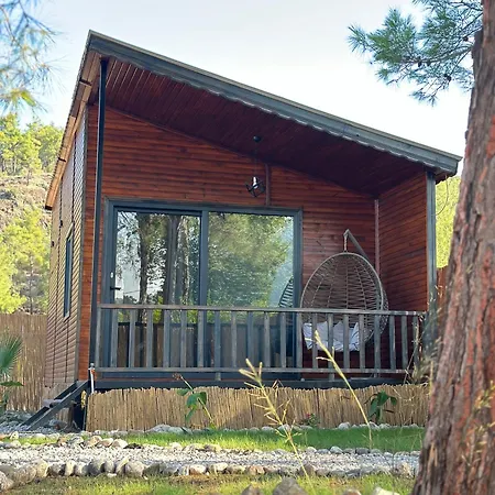 Blackstone Holiday home